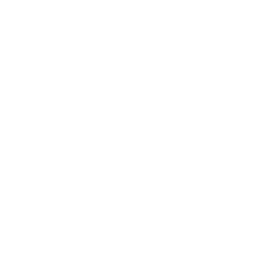 spin-sino 18plus